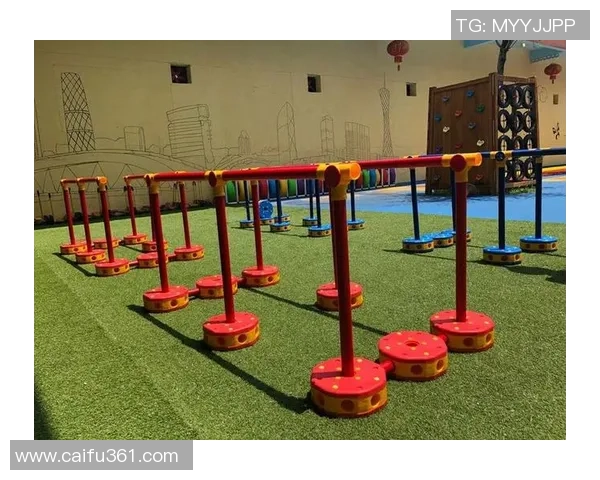 吴秀英独家分享网球心得与技巧助你提升球技的全面指南